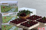 梦见搓澡高速赋能产业升级：一条“杨梅路”的致富密码